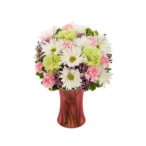 Fresh as a Daisy flower bouquet (BF390-11KM)